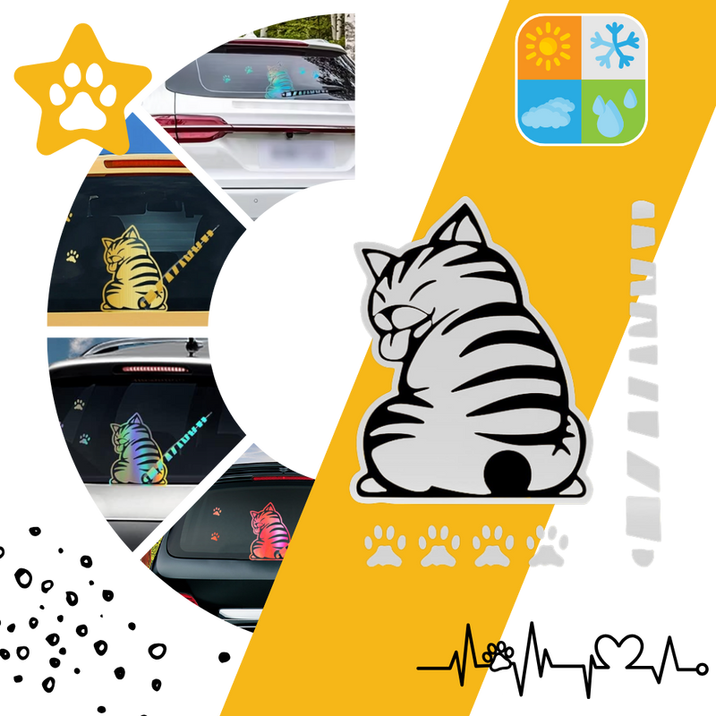 Quirky Cat Wiper Decal