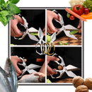 Razor Sharp Kitchen Shear