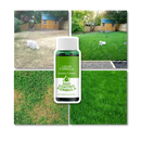 Revitalizing Lawn Grass Spray