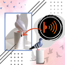 Sensor Pigeon Soap Dispenser