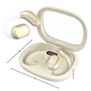 Smart AI Translation Earbuds