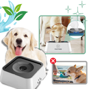 Splash-Free Water Bowl For Dogs