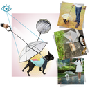 Transparent Dog Umbrella Leash