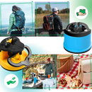 Tungsten Knife Sharpener