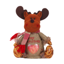 Zip Close Reusable Christmas Gift Bag